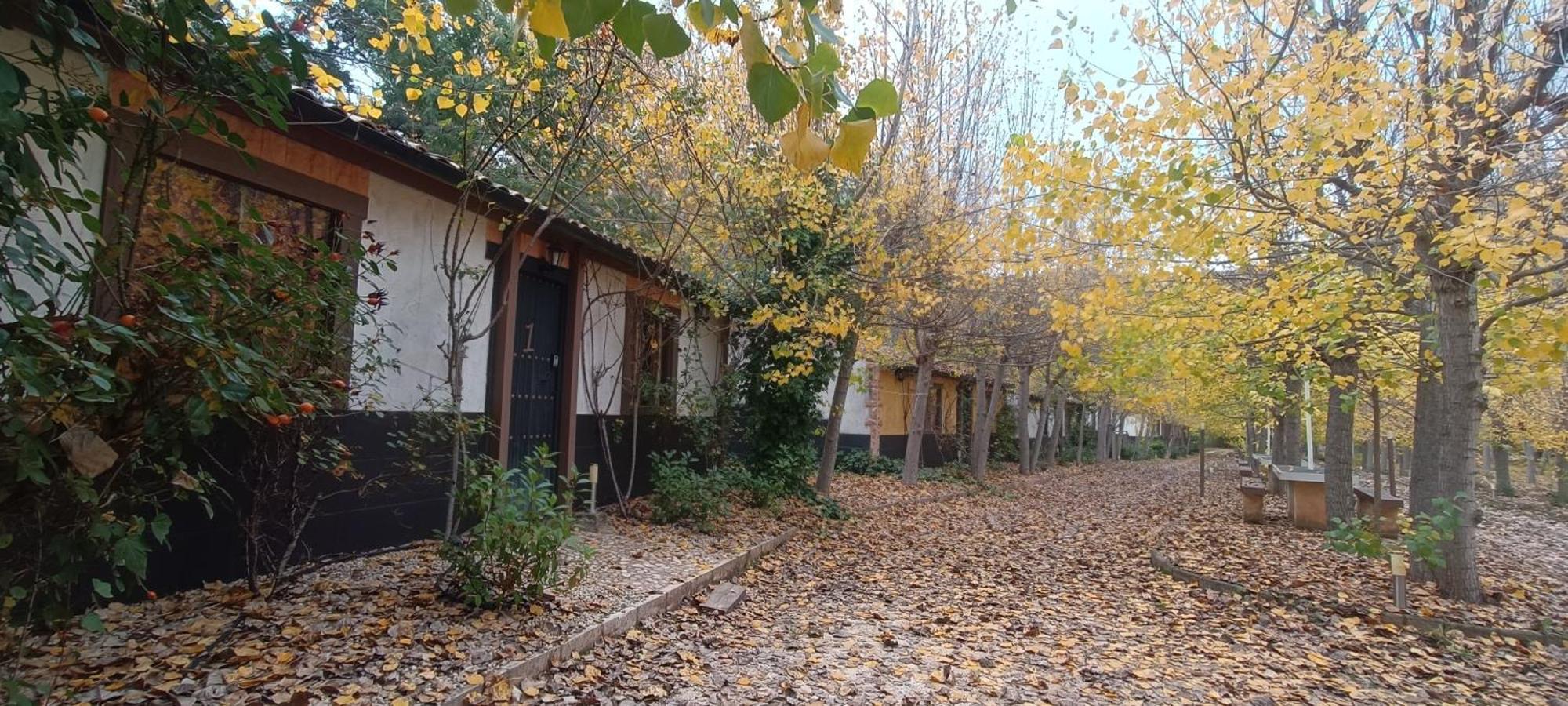 Casas Rurales Vado Del Rio Tus Cortijo Prados 외부 사진