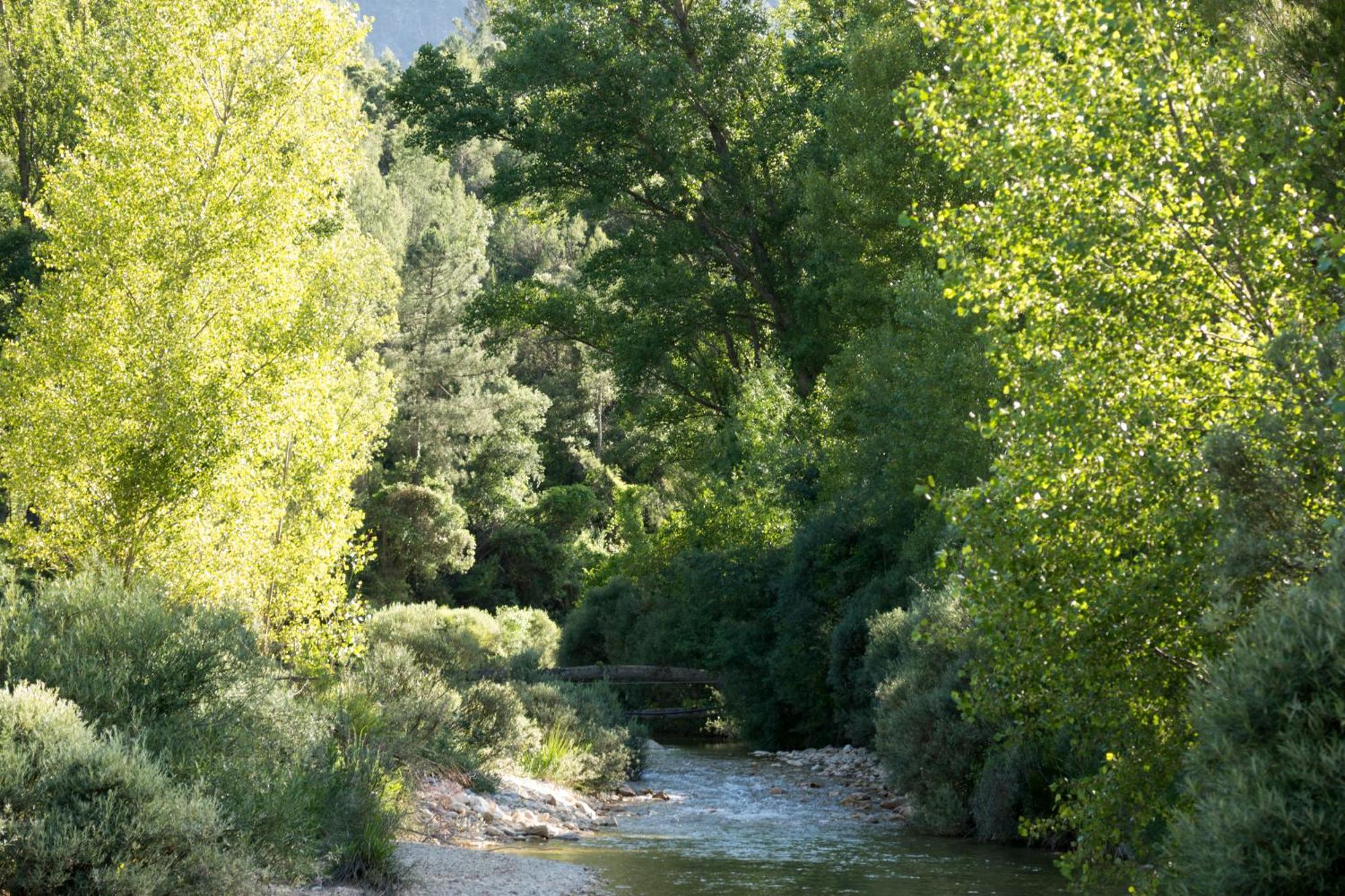 Casas Rurales Vado Del Rio Tus Cortijo Prados 외부 사진