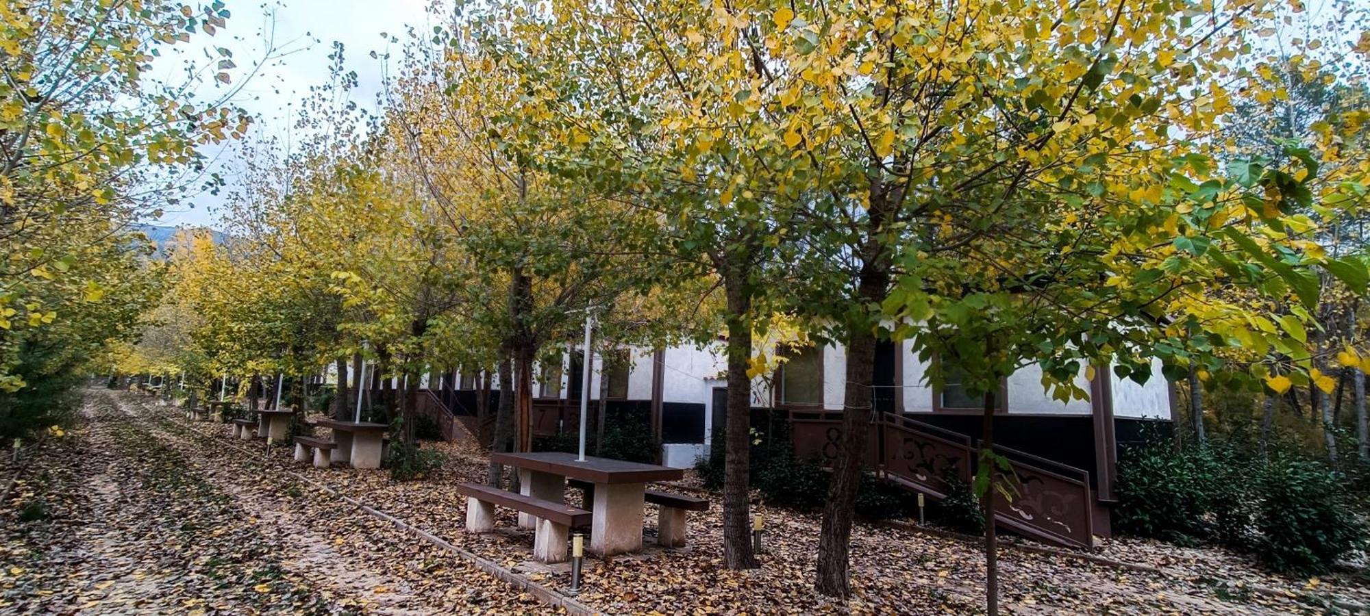Casas Rurales Vado Del Rio Tus Cortijo Prados 외부 사진